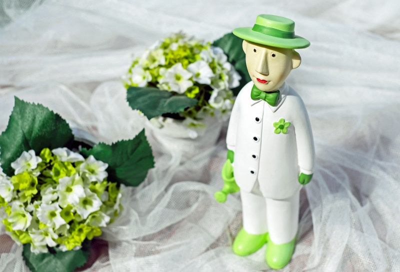 ecommerce-ST RAPHAEL-min_man-person-flower-green-toy-fig-546529-pxhere.com